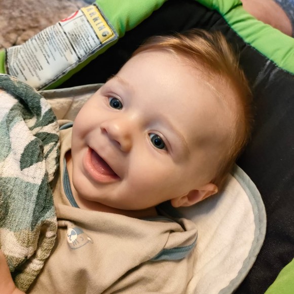 Meet your Posher, Posh - Picture 1 of 1